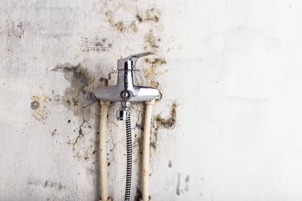 Best Certified Mold Removal  in Eufaula, OK