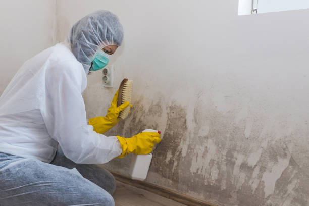 Crawl Space Mold Removal in Eufaula, OK