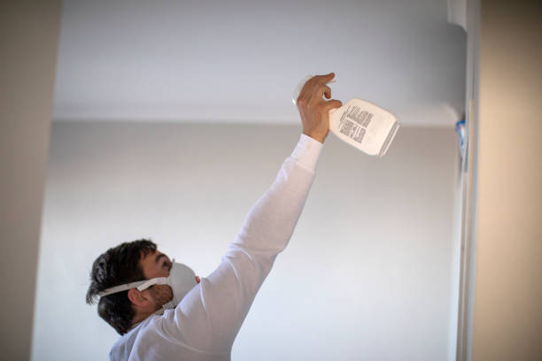 Best Crawl Space Mold Removal  in Eufaula, OK