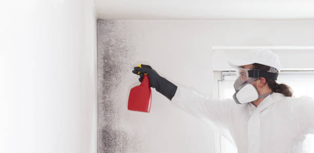 Best Certified Mold Removal  in Eufaula, OK
