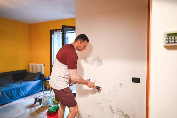 Best Mold Inspection  in Eufaula, OK