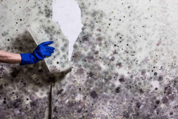 Best Water Damage Restoration  in Eufaula, OK